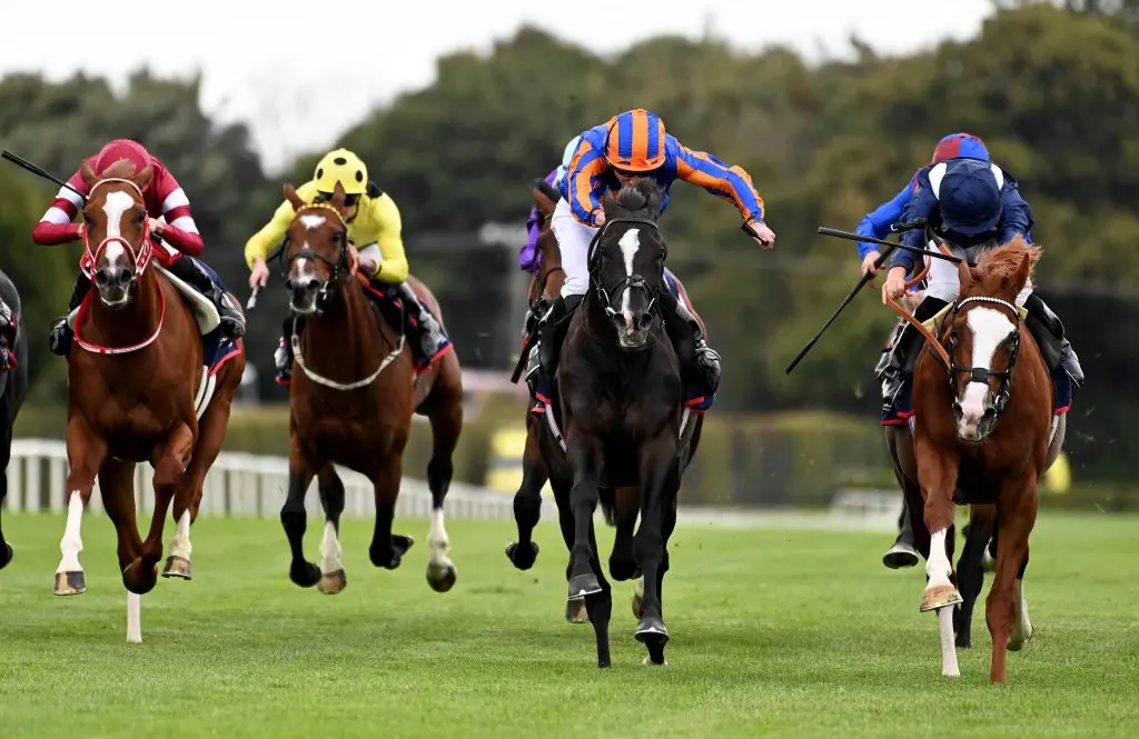 Economics (right) ridden by jockey Tom Marquand on their way to winning the Royal Bahrain Irish Champion Stakes at Leopardstown Racecourse (Pic - Healy Racing - PA Wire)