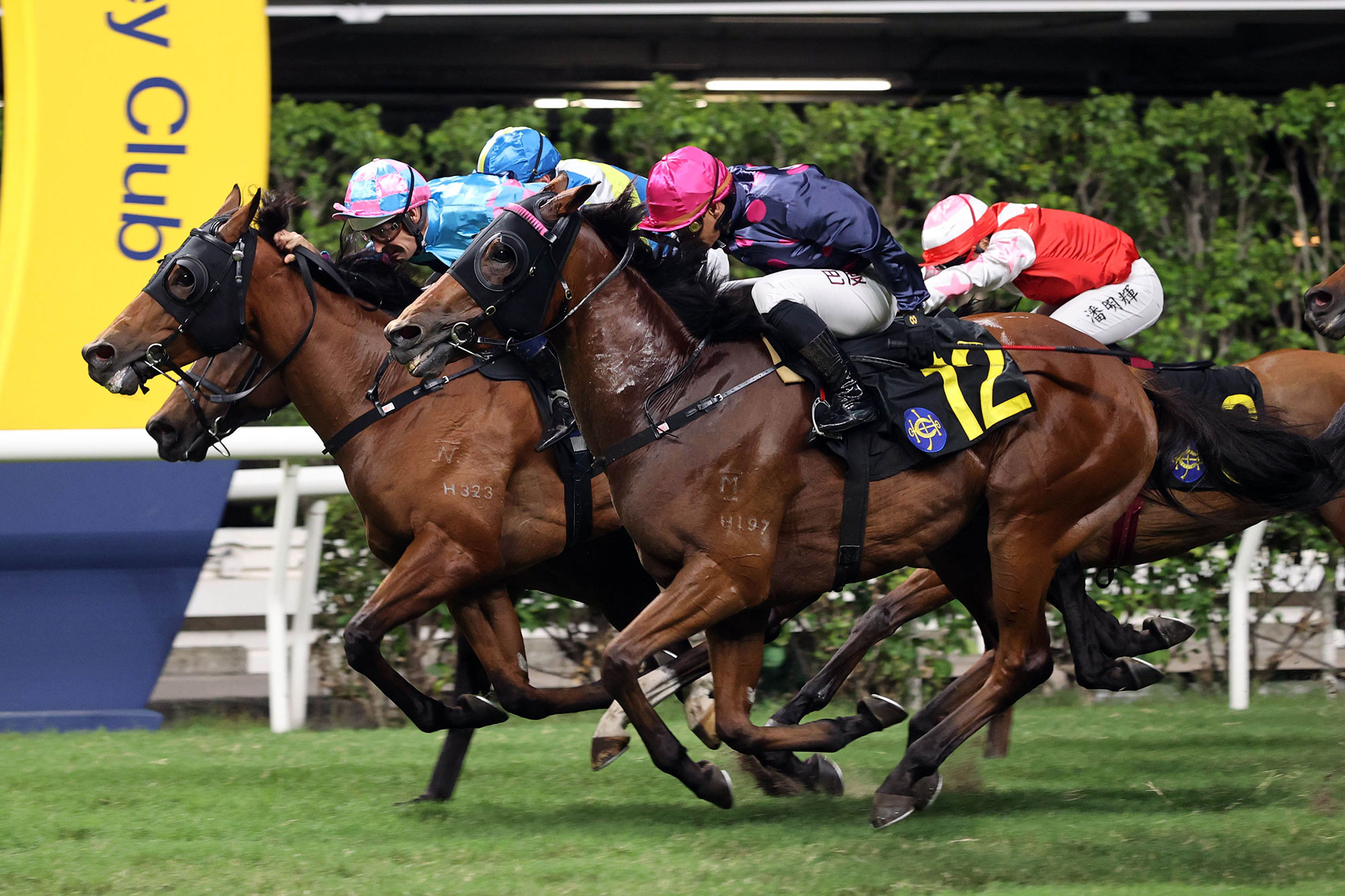 Gallant Valour gives Jamie Richards his first win of the season (Pic - HKJC)