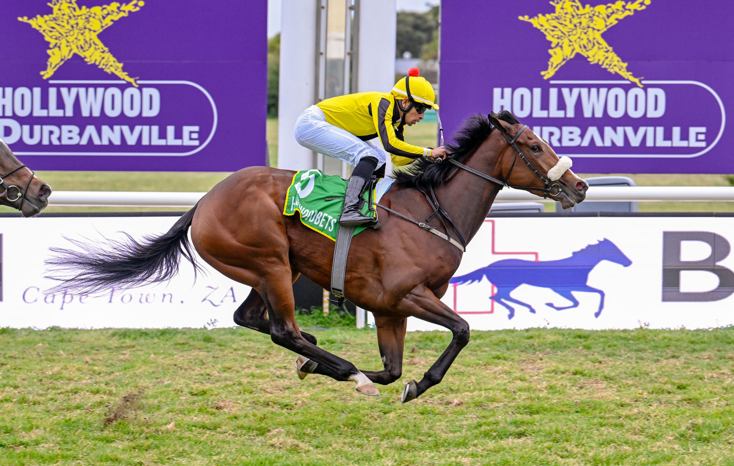 Gimmie's Countess (Serino Moodley) has had her merit rating increased (Pic - Chase Liebenberg)