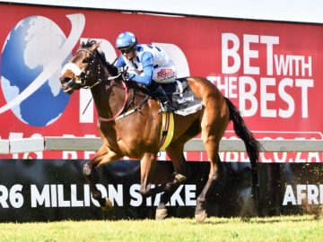 Rachel Venniker steers the lightly raced Back In Business home for Joey Soma (Pic - JC Photos)