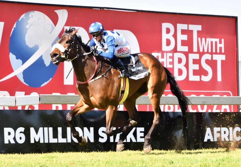 Rachel Venniker steers the lightly raced Back In Business home for Joey Soma (Pic - JC Photos)