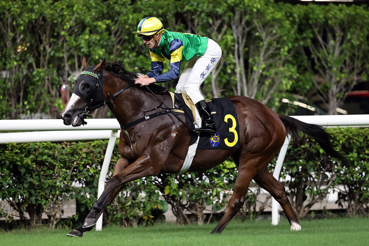 Scotch Tycoon returns in super order at Happy Valley (Pic - HKJC)