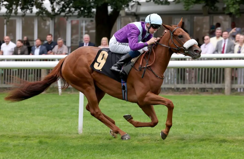 See The Fire and David Probert (purple) winning The Tiber Tiger British EBF “Newcomers” Maiden Fillies’ Stakes Newmarket (Pic - Dan Abraham-focusonracing.com)