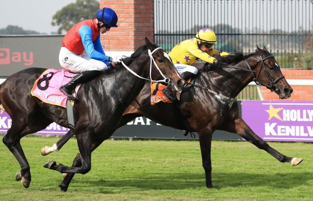 Stars In Heaven (JP van der Merwe) takes the lead ahead of King Visery (Keanen Steyn) and claims his maiden victory in April (Pic – Racing Today)