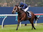 Switzerland May Take Up Coolmore Slot For Everest