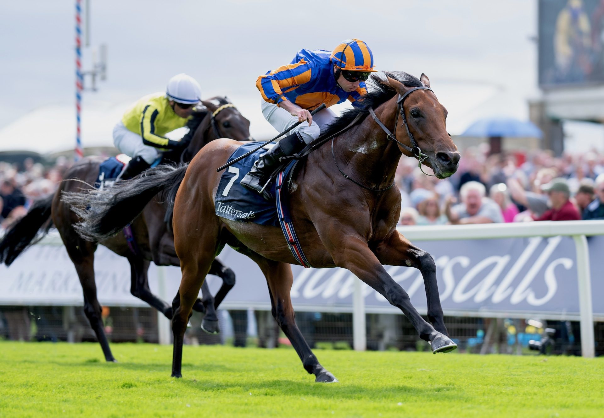 The Lion In Winter smashed track records in the Acomb Stakes in August (Pic – Coolmore)