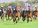 Betway Summer Cup: Ante-Post Punters Weigh In On Value Odds