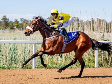 A powerful performance from Passchendaele and Sandile Khathi (Pic - Pauline Herman)