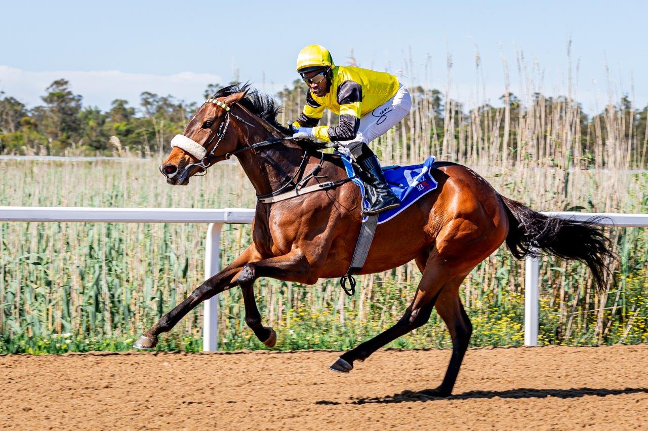 A powerful performance from Passchendaele and Sandile Khathi (Pic - Pauline Herman)