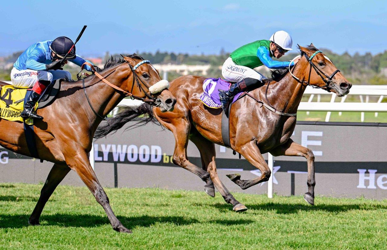 A strong finish from Mon Petit Cherie (Richard Fourie, white cap) while Beware The Bomb (Sean Veale, blue cap) stays on for 2nd (Pic - Chase Liebenberg)