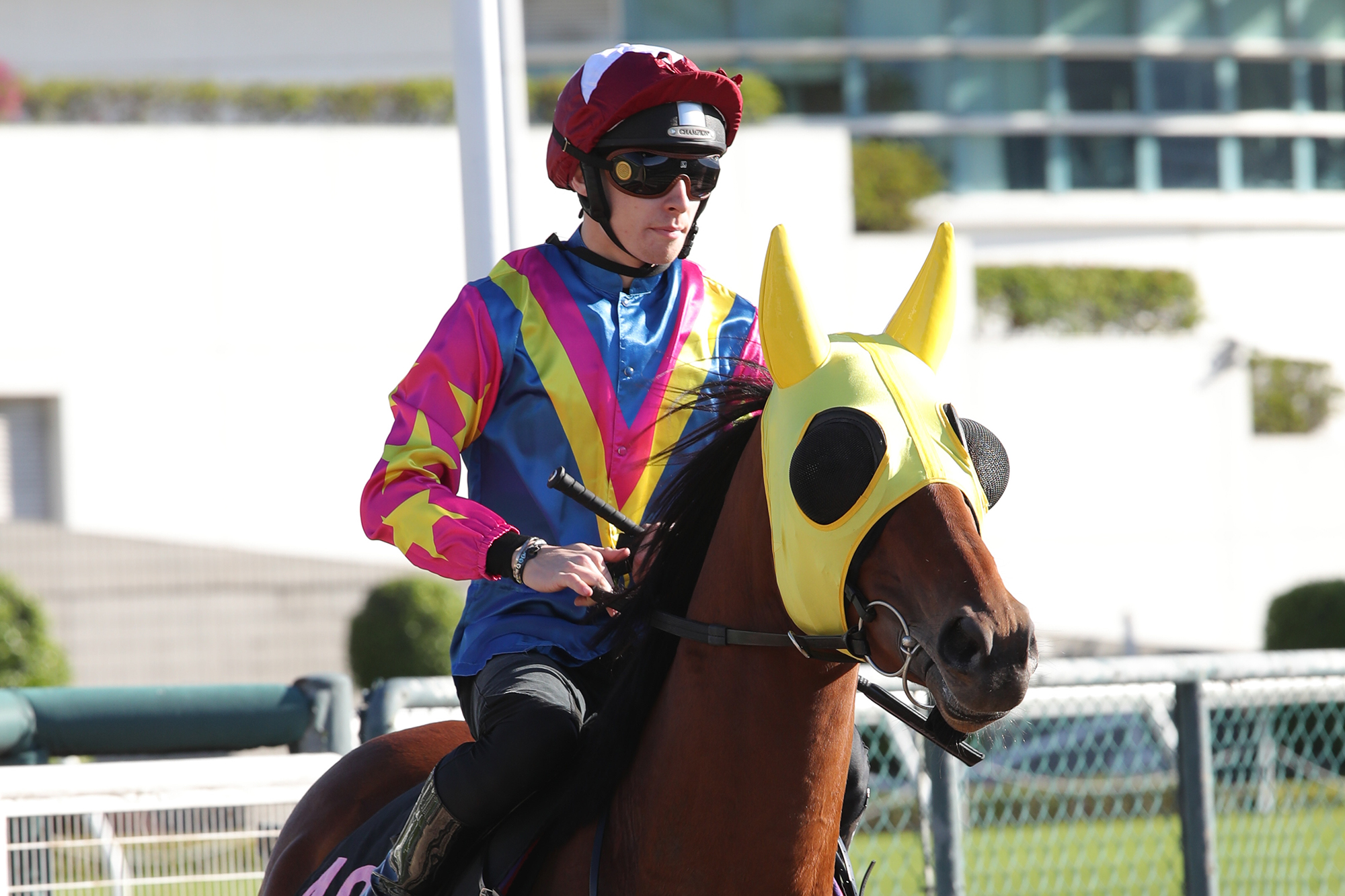 Alexis Pouchin at Friday's Sha Tin barrier trial session (Pic - HKJC)