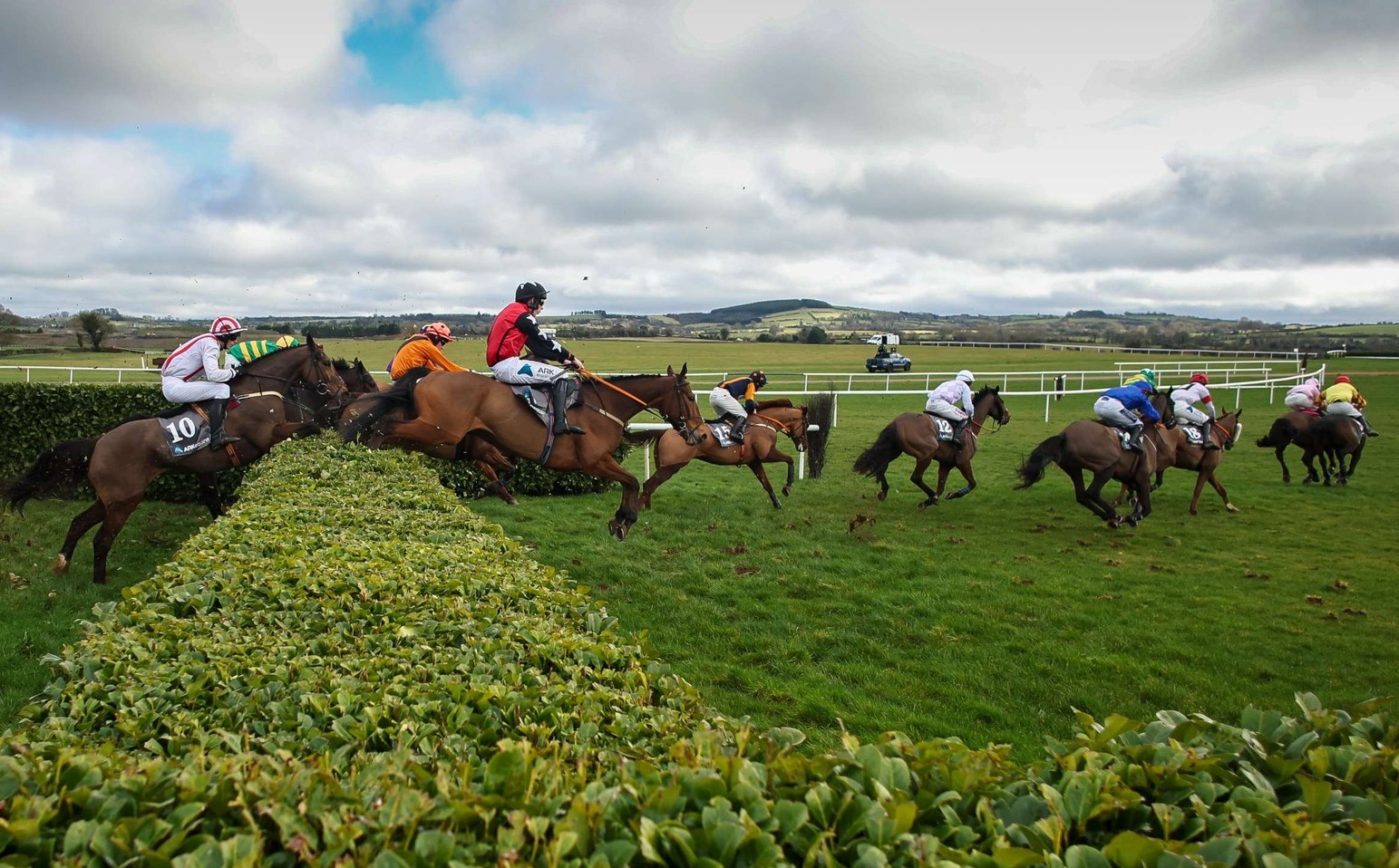 All the Punchestown action! (Pic - Supplied)