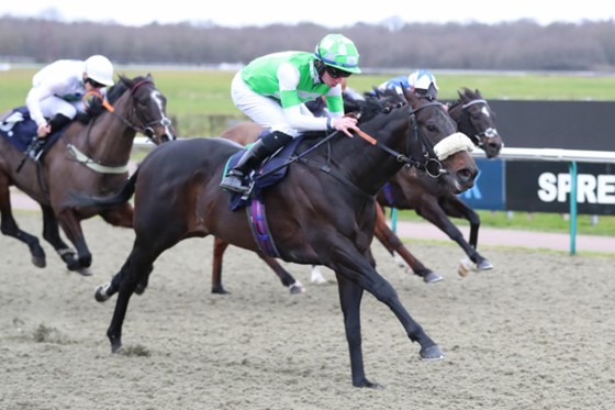 Annaf winning the 2023 BetUK Kachy Stakes (Pic - John Hoy supplied by AWC)