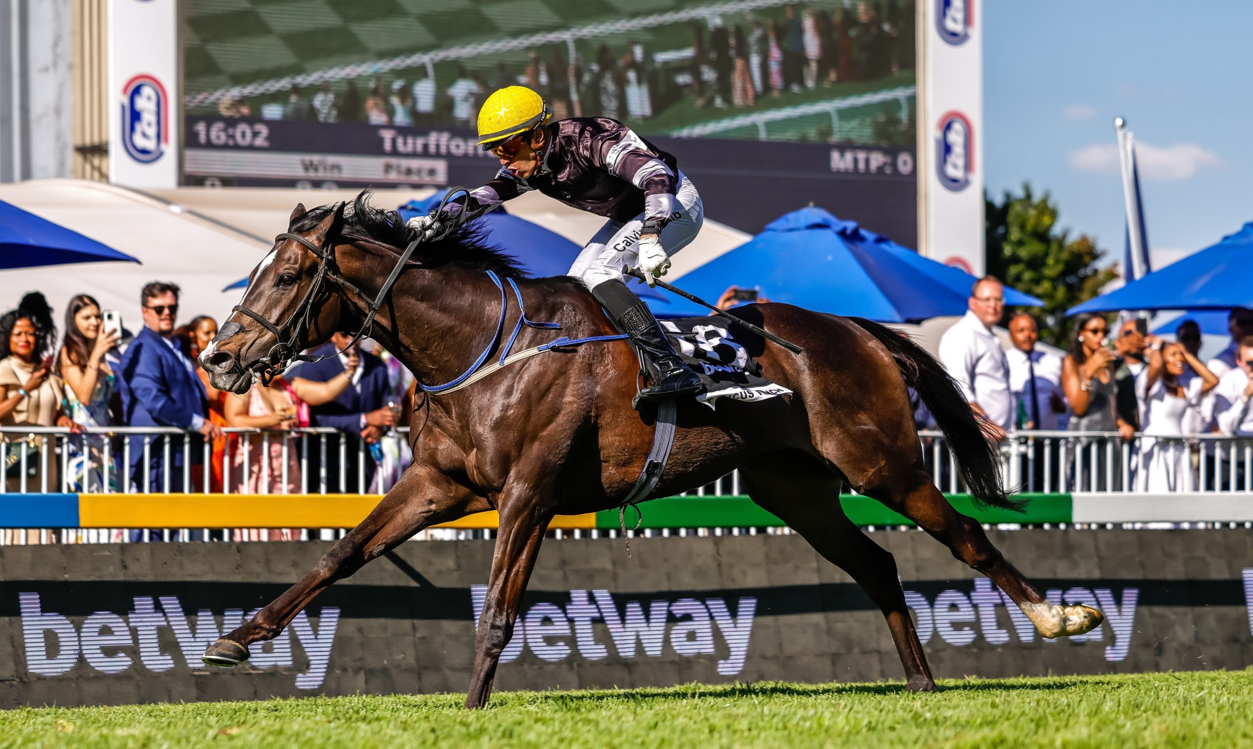 Atticus Finch wins the 2024 Betway Gr1 Summer Cup under Calvin Habib (Pic - Candiese Lenferna)