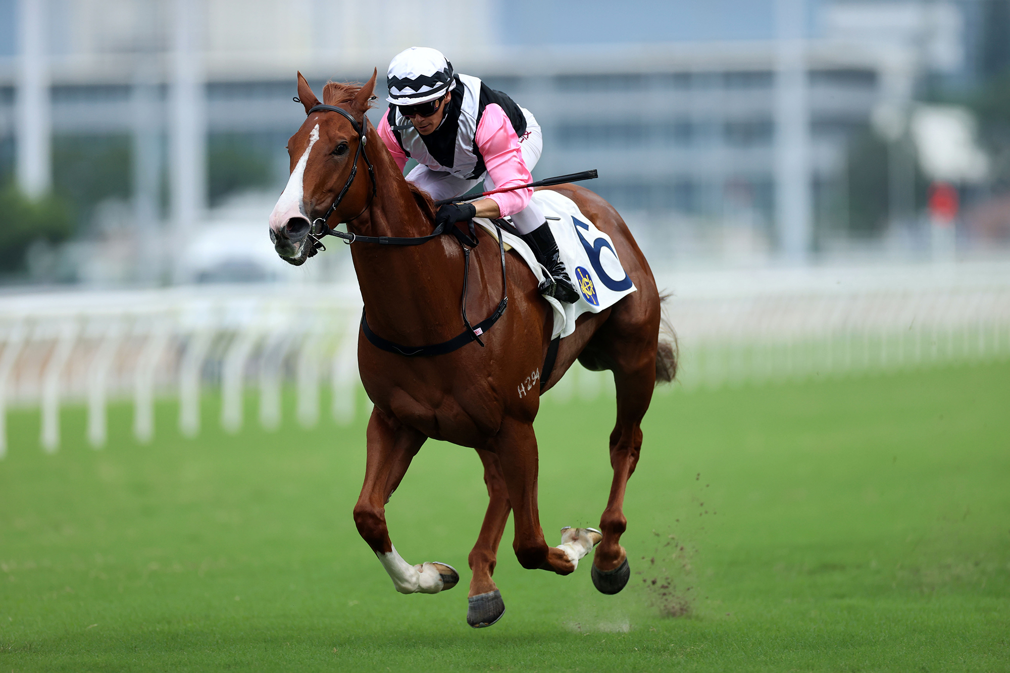 Beauty Waves has four wins in Hong Kong (Pic - HKJC)