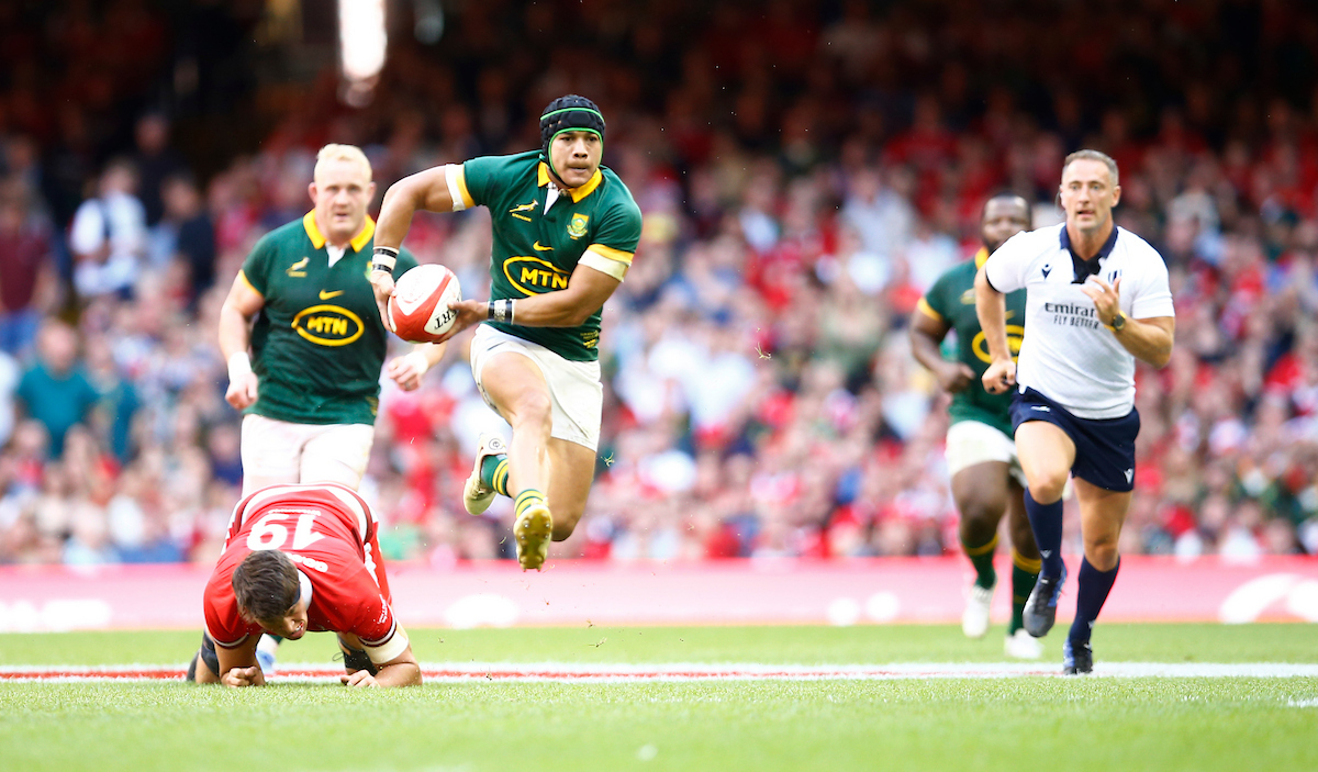 Cheslin Kolbe of South Africa during the RWC warm-up match between Wales and South Africa (Pic - Steve Haag Sports)