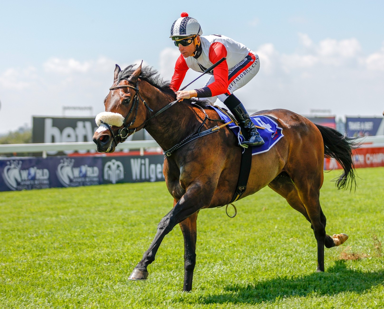 Cosmic Star under Gavin Lerena takes (Pic - Candiese Lenferna)