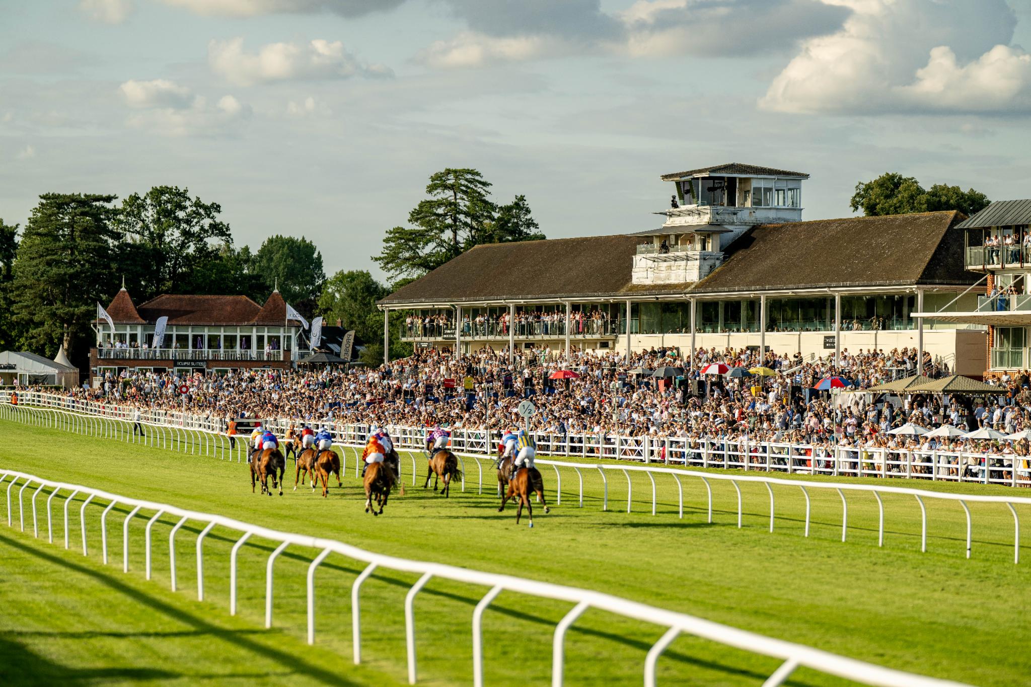 Fillies and mares will take centre stage at Lingfield Park on Wednesday (Pic - Lingfield Park on FB)