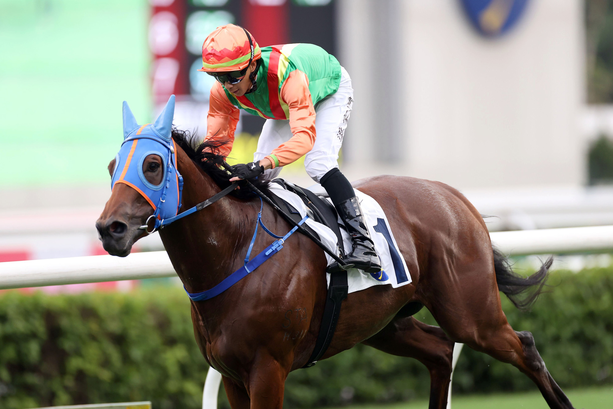 Glory Elite is an improving horse (Pic - HKJC)