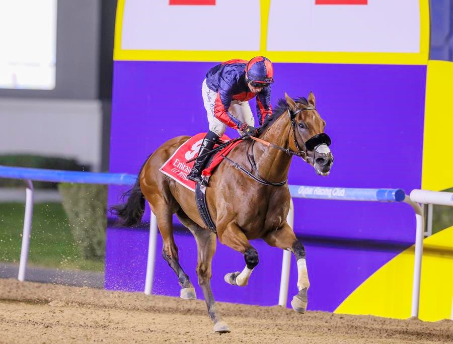 Imperial Emperor wins the Emirates Airline Handicap (Pic - Dubai Racing Club)