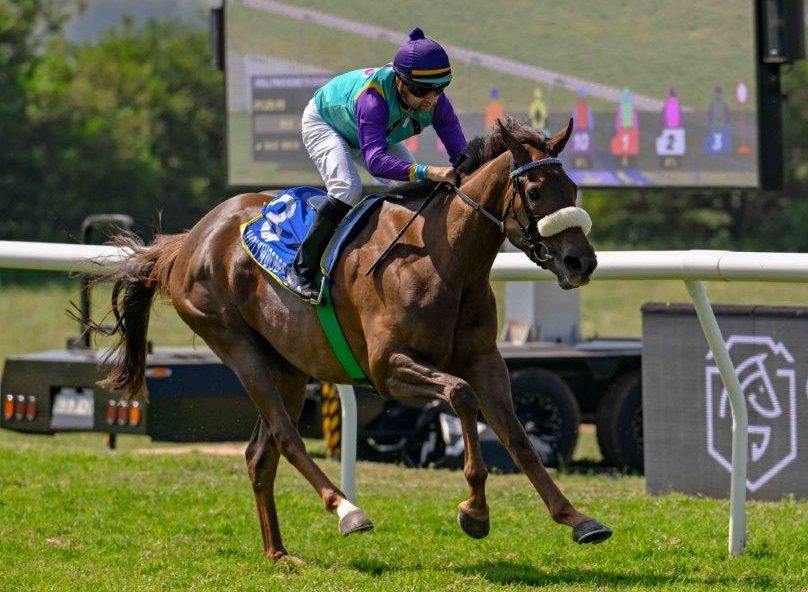 Kamchatka (Corne Orffer) is looking for a hattrick today (Pic - Chase Liebenberg)