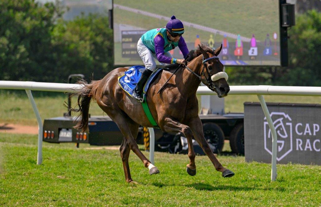 Kamchatka (Corne Orffer) is looking for a hattrick today (Pic - Chase Liebenberg)