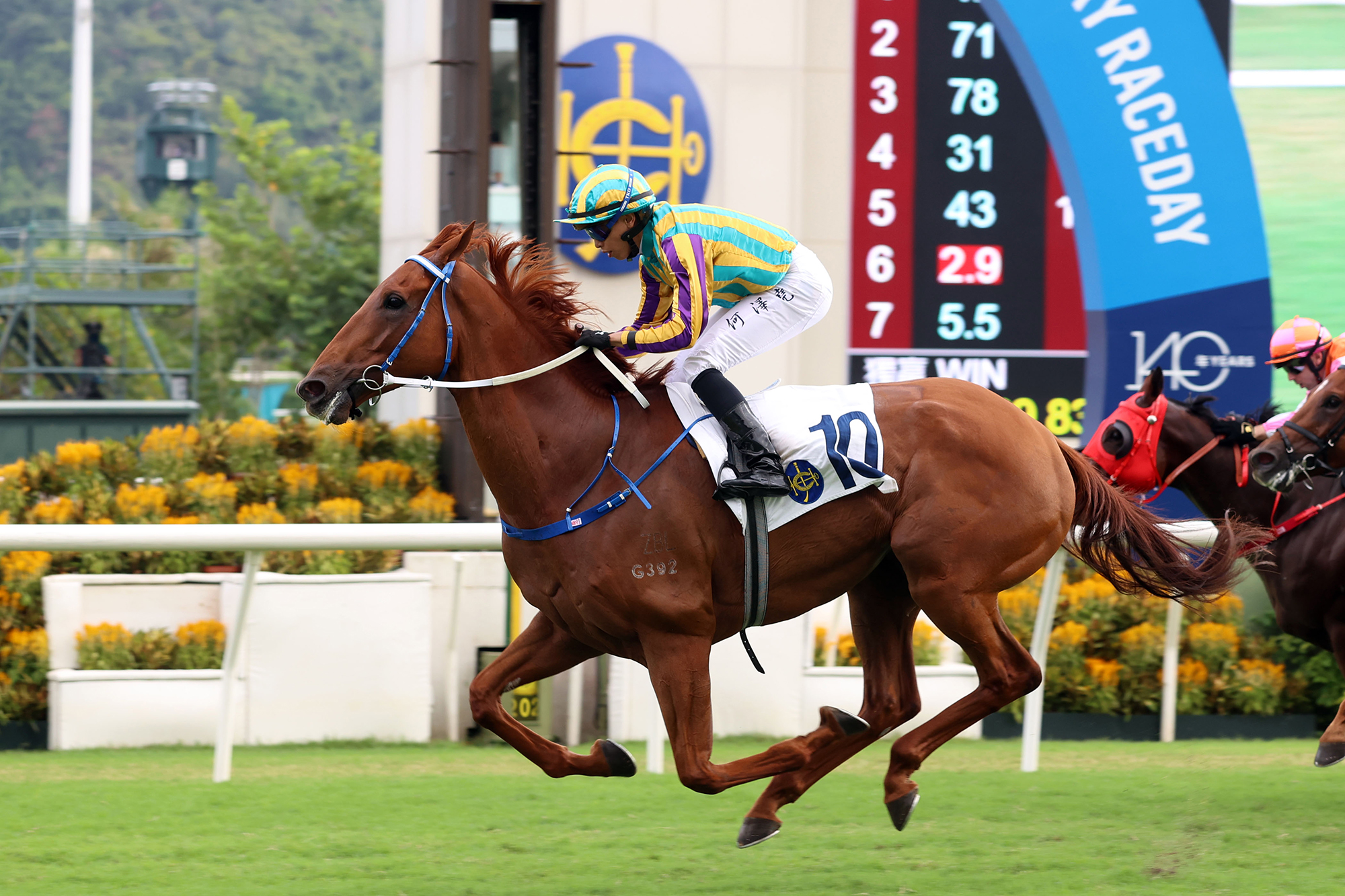 Karma posts his fifth win at Sha Tin on 20 October (Pic - HKJC)