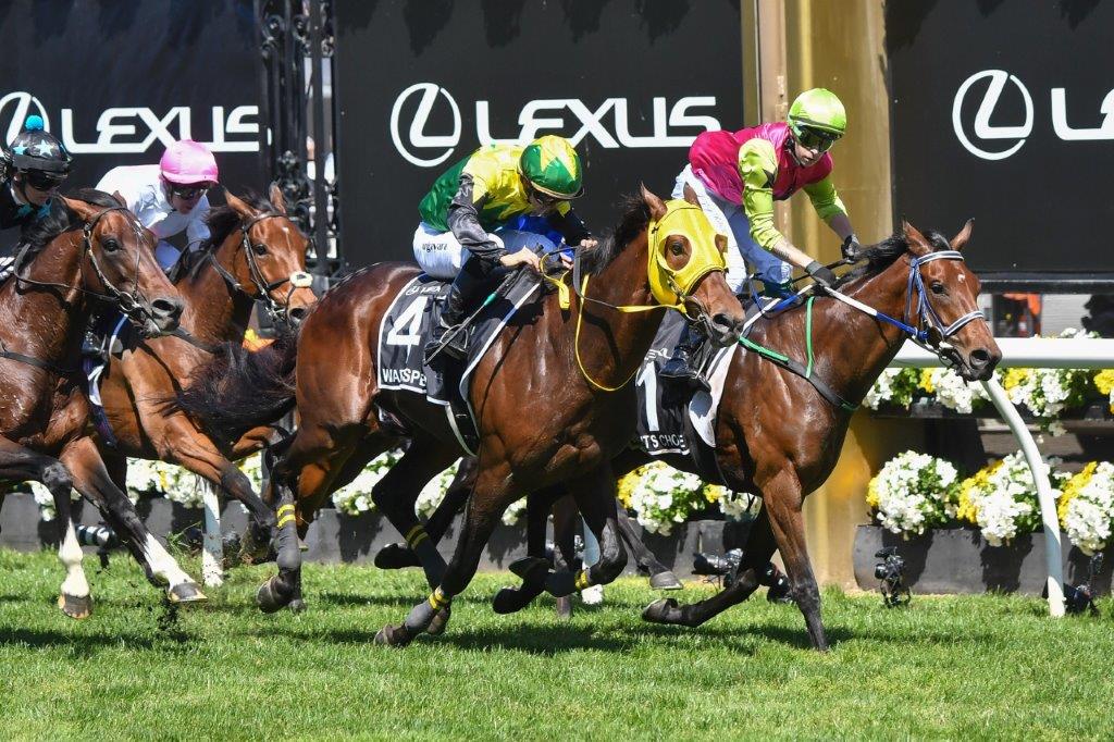 Knight's Choice (Robbie Dolan) wins the 2024 Lexus Melbourne Cup (Pic - Flemington Racecourse and Victoria racing Club on FB)