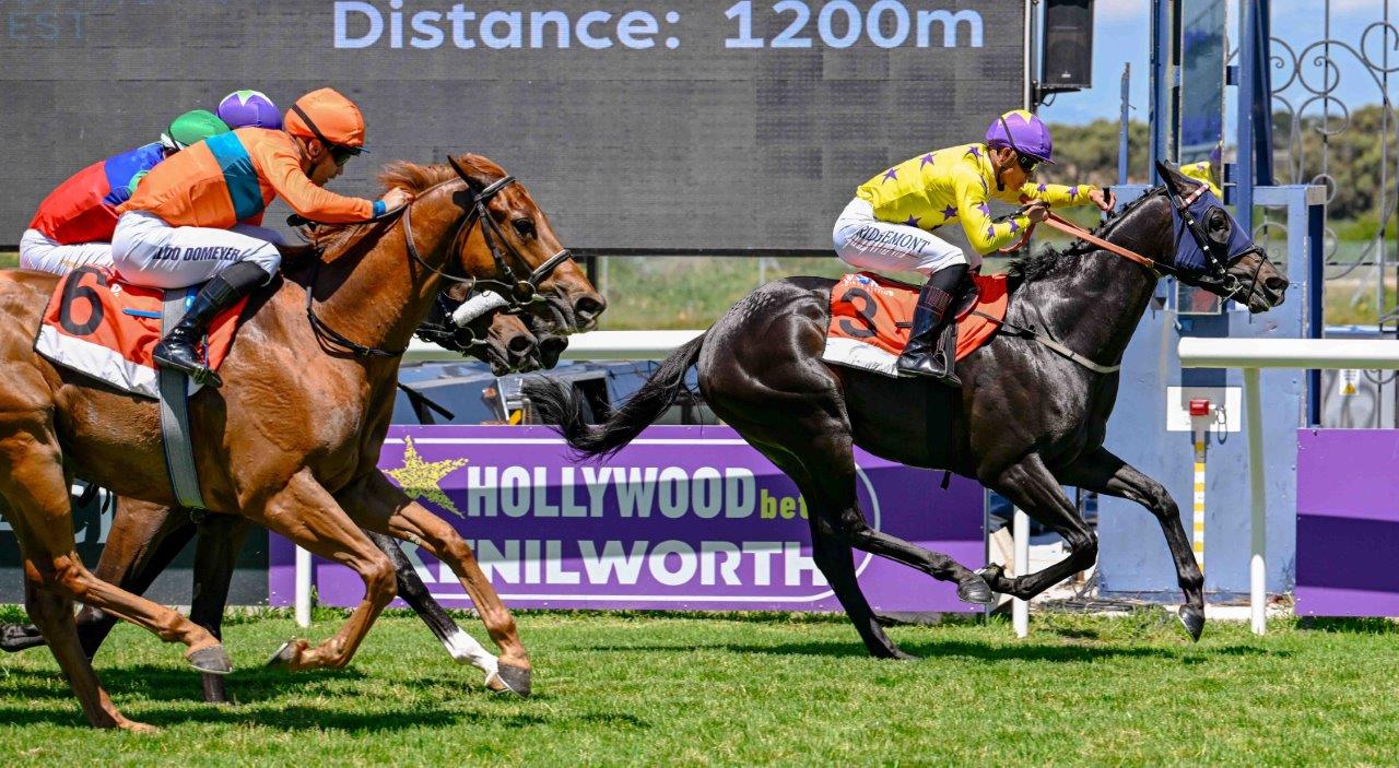 Lion Rampart (Richard Fourie) leads the way ahead of Kaiboy (Aldo Domeyer, orange cap), Miss World (Corne Orffer, green cap) and Handsome Prince (Grant van Niekerk, obscured) (Pic – Chase Liebenberg)