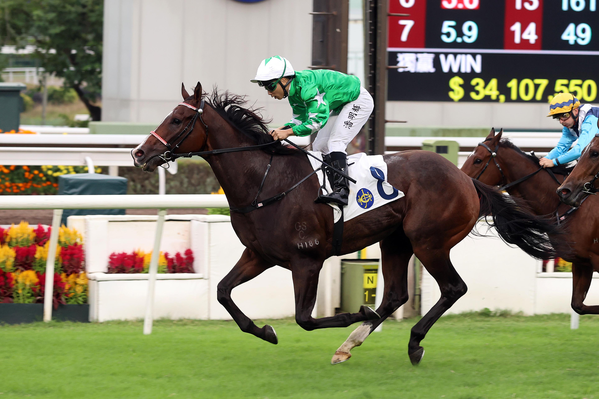 Matthew Poon guides Green N White to Class 2 Panasonic Cup Handicap (1400m) victory (Pic - HKJC)