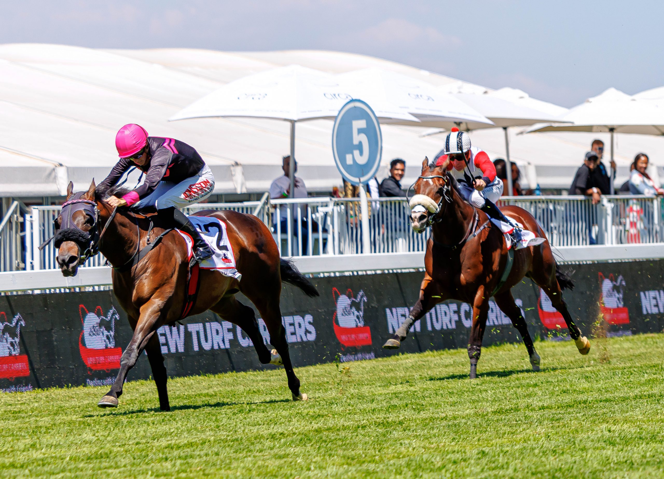 Mount Pilatus (Rachel Venniker) lead the way. Fourth-placed Sheldon (Gavin Lerena) can be seen in the background (Pic - Candiese Lenferna)