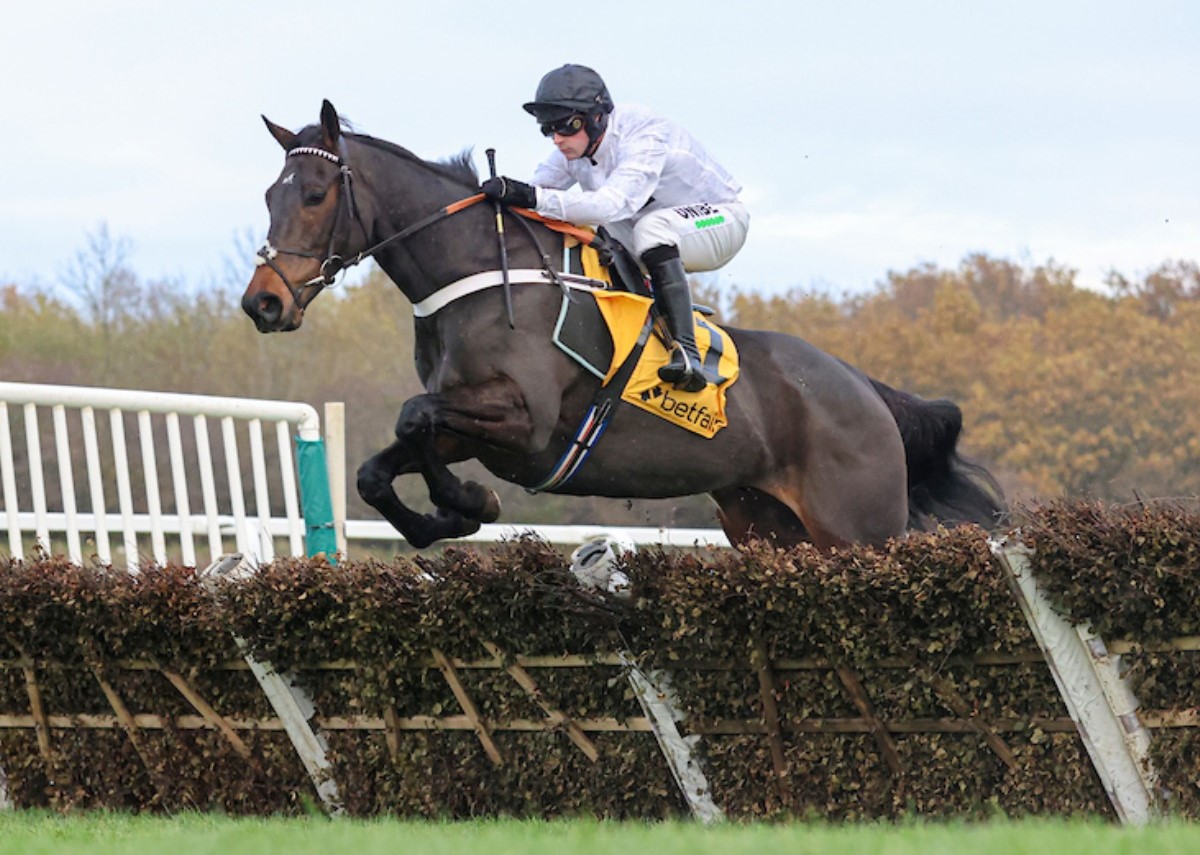 Newcastle Racecourse will host the Gr1 BetMGM Fighting Fifth Hurdle on Saturday (Pic - Newcastle Racecourse on FB)