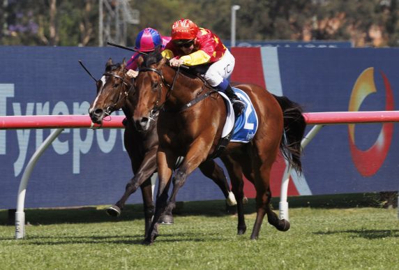 North England (Tim Clark, red cap, inside) wins the Inglis Golden Gift at Rosehill (Pic - Martin King/Sportpix)