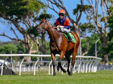 One Stripe (Gavin Lerena) wins the Gr2 Cape Punters Cup (Pic - Chase Liebenberg)