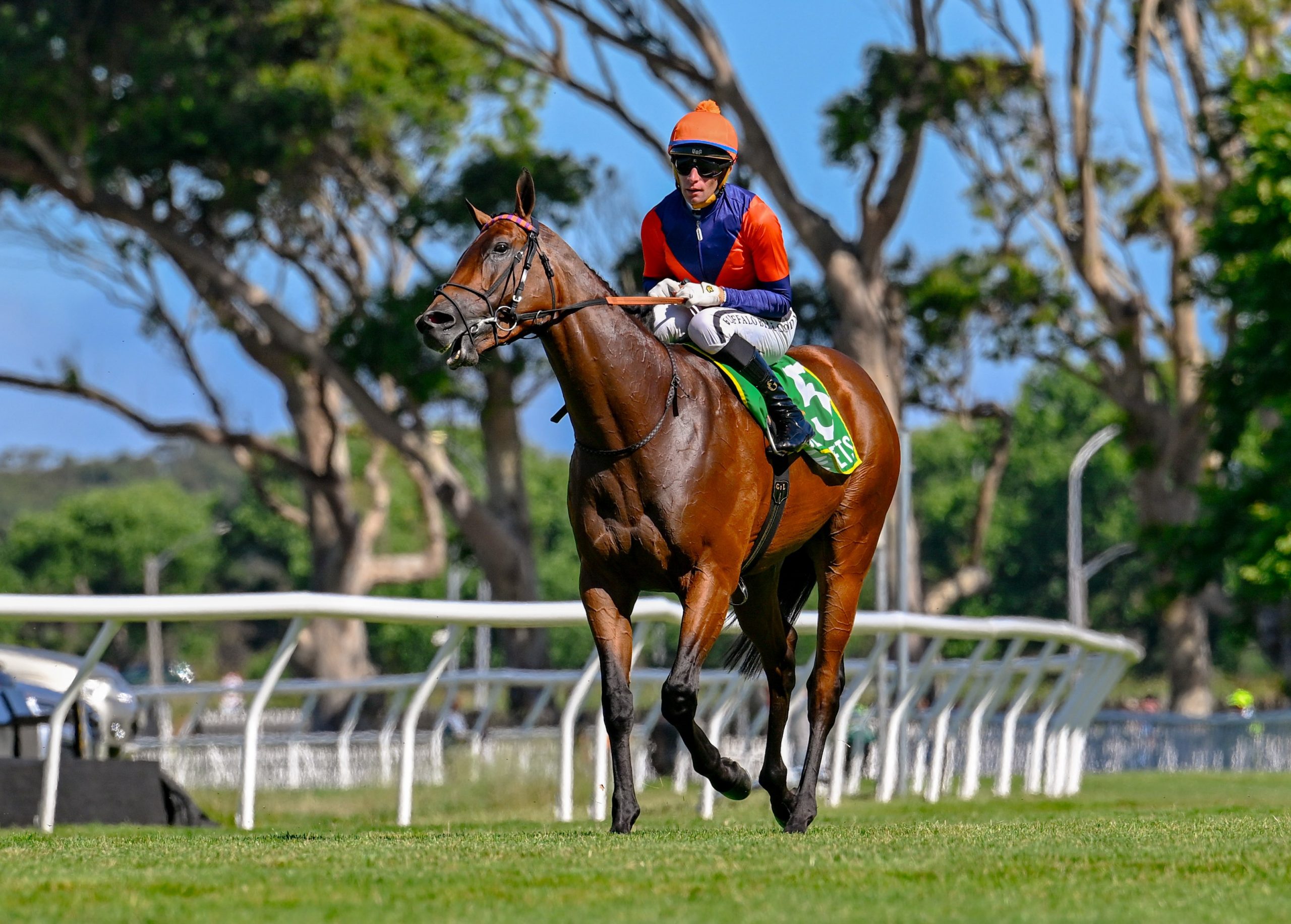 One Stripe (Gavin Lerena) wins the Gr2 Cape Punters Cup (Pic - Chase Liebenberg)