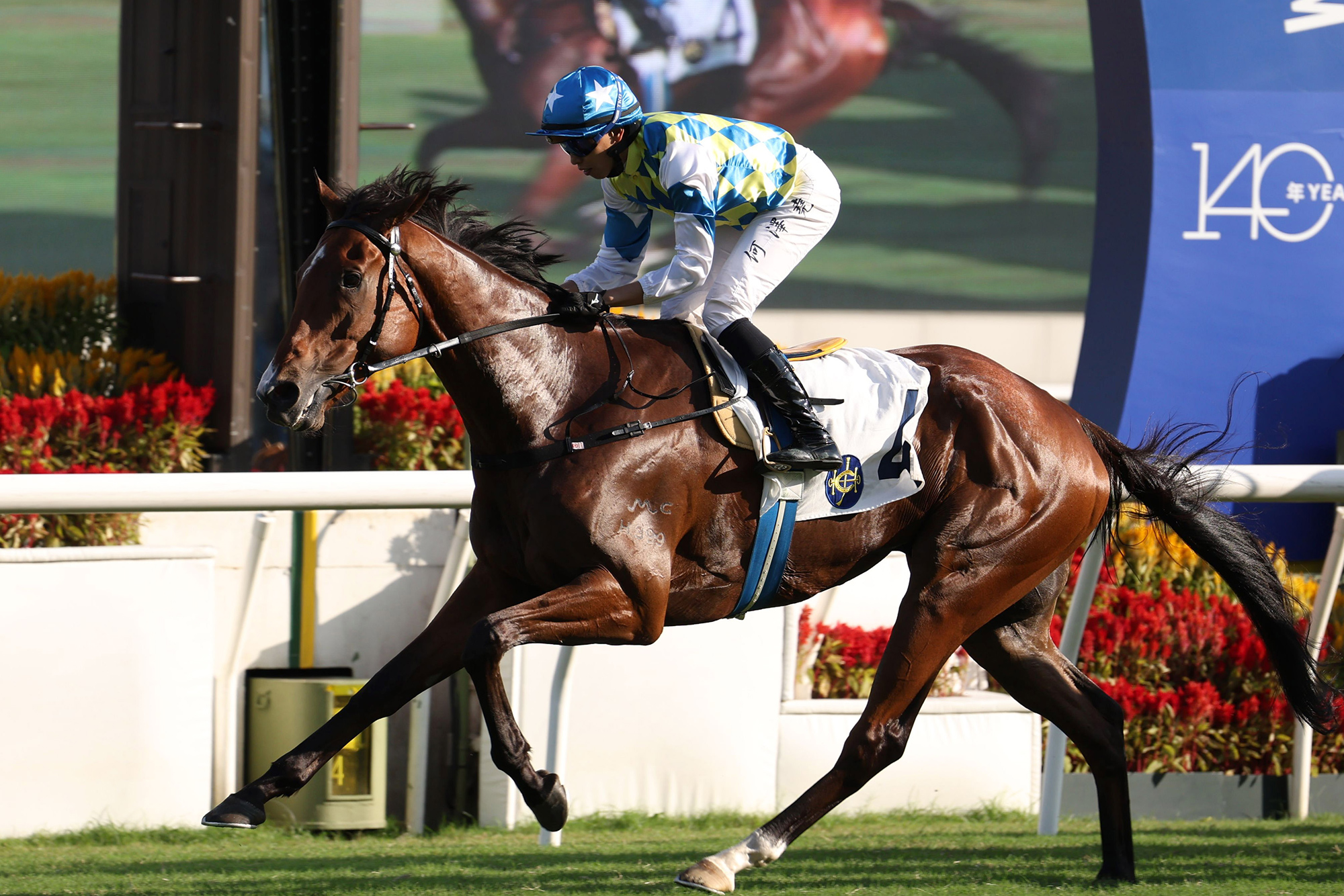 Pierre Ng is chasing LONGINES Hong Kong International Races glory with Galaxy Patch (Pic - HKJC)