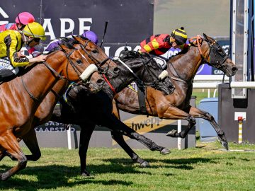 Rascallion (Gavin Lerena) delivers a stakes success taking on Zapatillas (Kabelo Matsunyane, purple cap), Gimme A Prince (Craig Zackey, yellow cap) and Montien (Anthony Andrews, pink cap) in a nail-biting fight to the line (Pic – Chase Liebenberg)