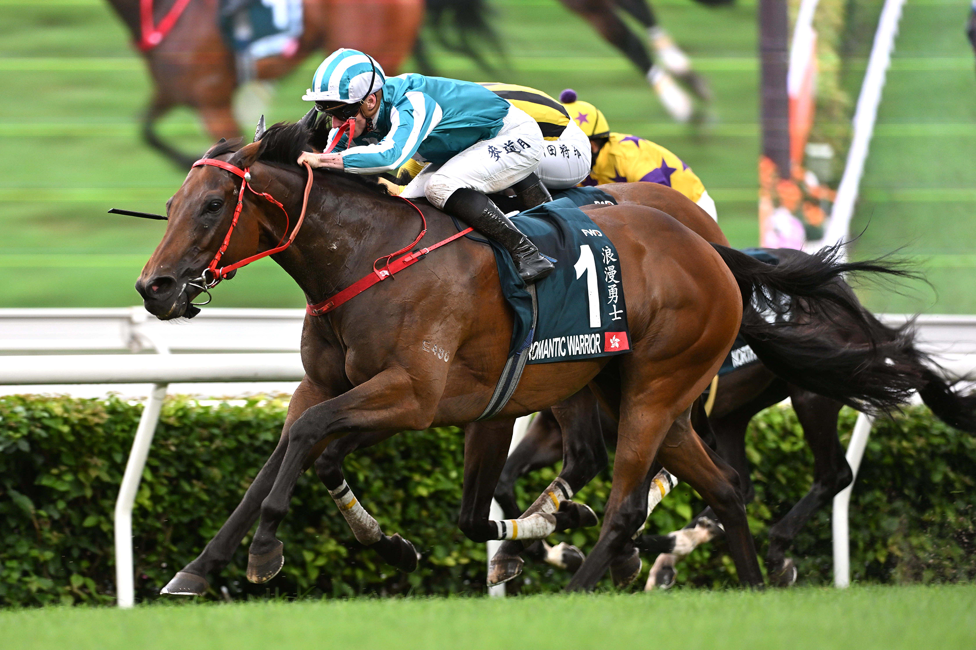 Romantic Warrior resumes on Sunday in search of a 16th career victory (Pic - HKJC)