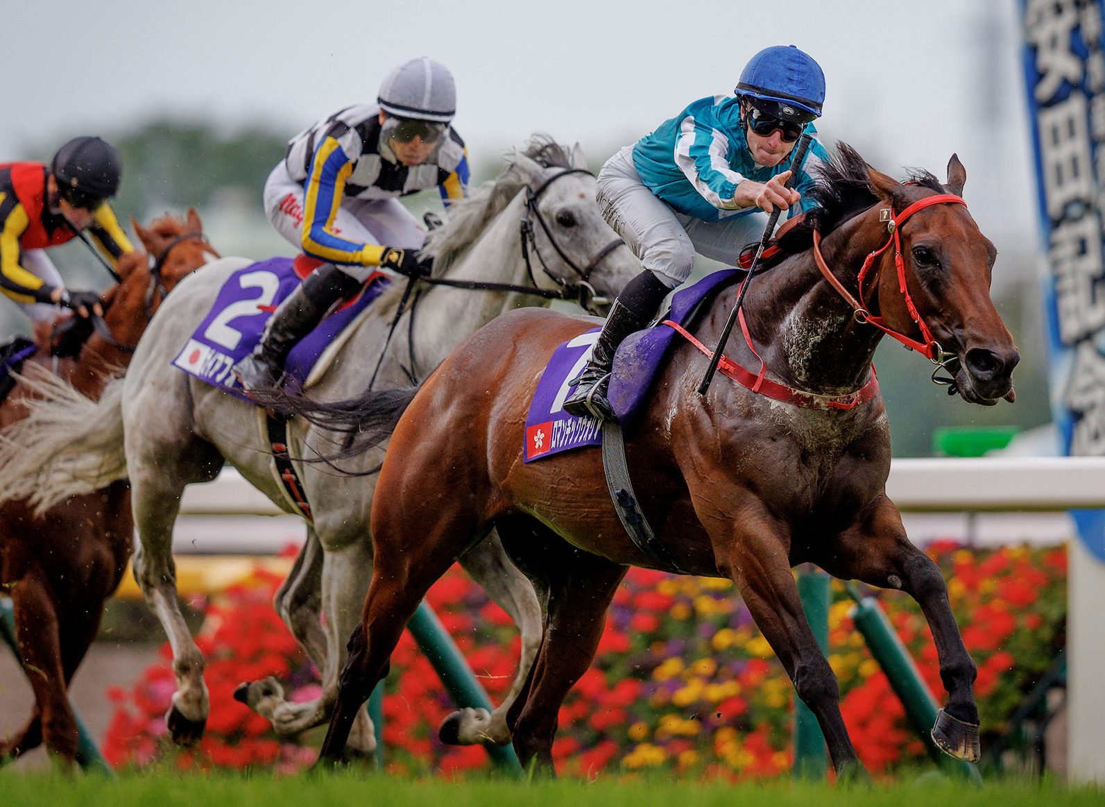 Romantic Warrior sweeps to Gr1 Yasuda Kinen (1600m) glory (Pic - HKJC)