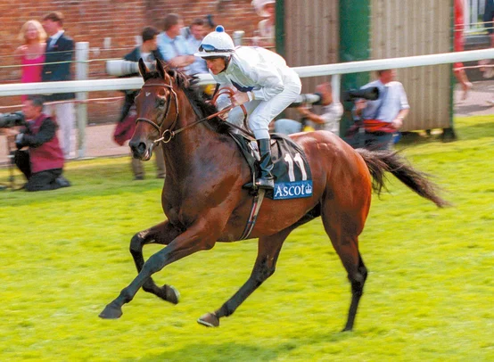 Victory Moon canters down for the Queen Anne Stakes at Ascot (Pic - 4Racing)