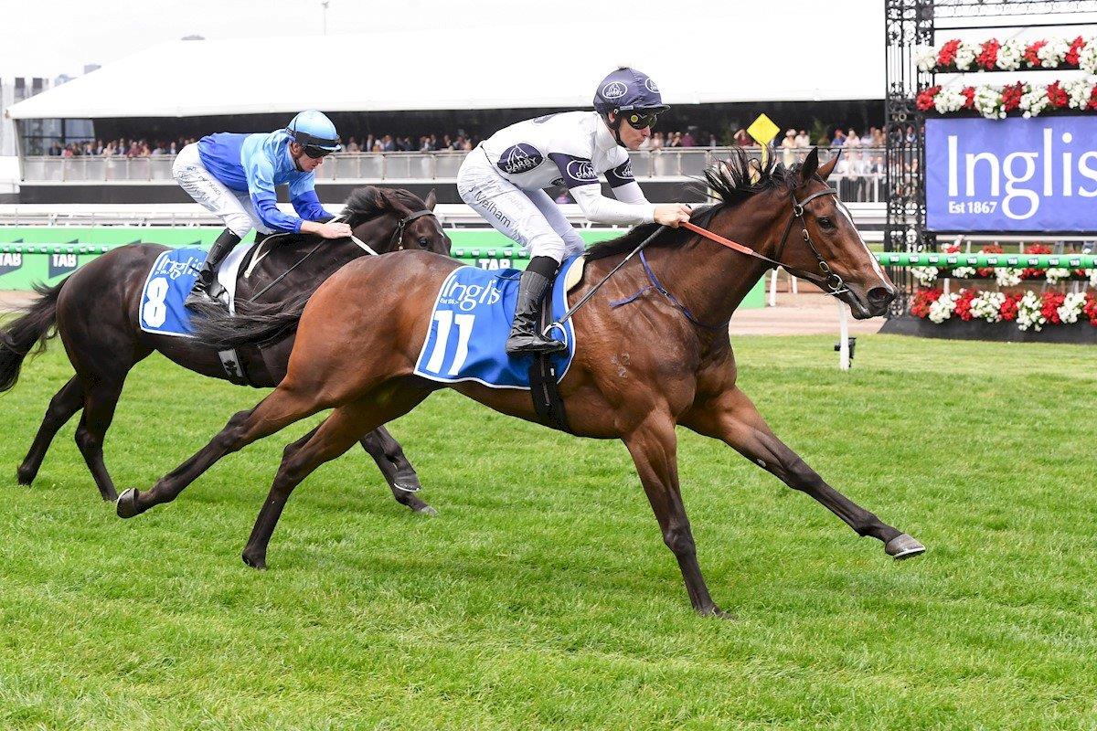 Within The Law (Ben Melham) wins the Listed Inglis Banner (Pic - Inglis)