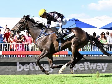 A Summer Cup victory for Atticus Finch and Calvin Habib (Pic - JC Photos)