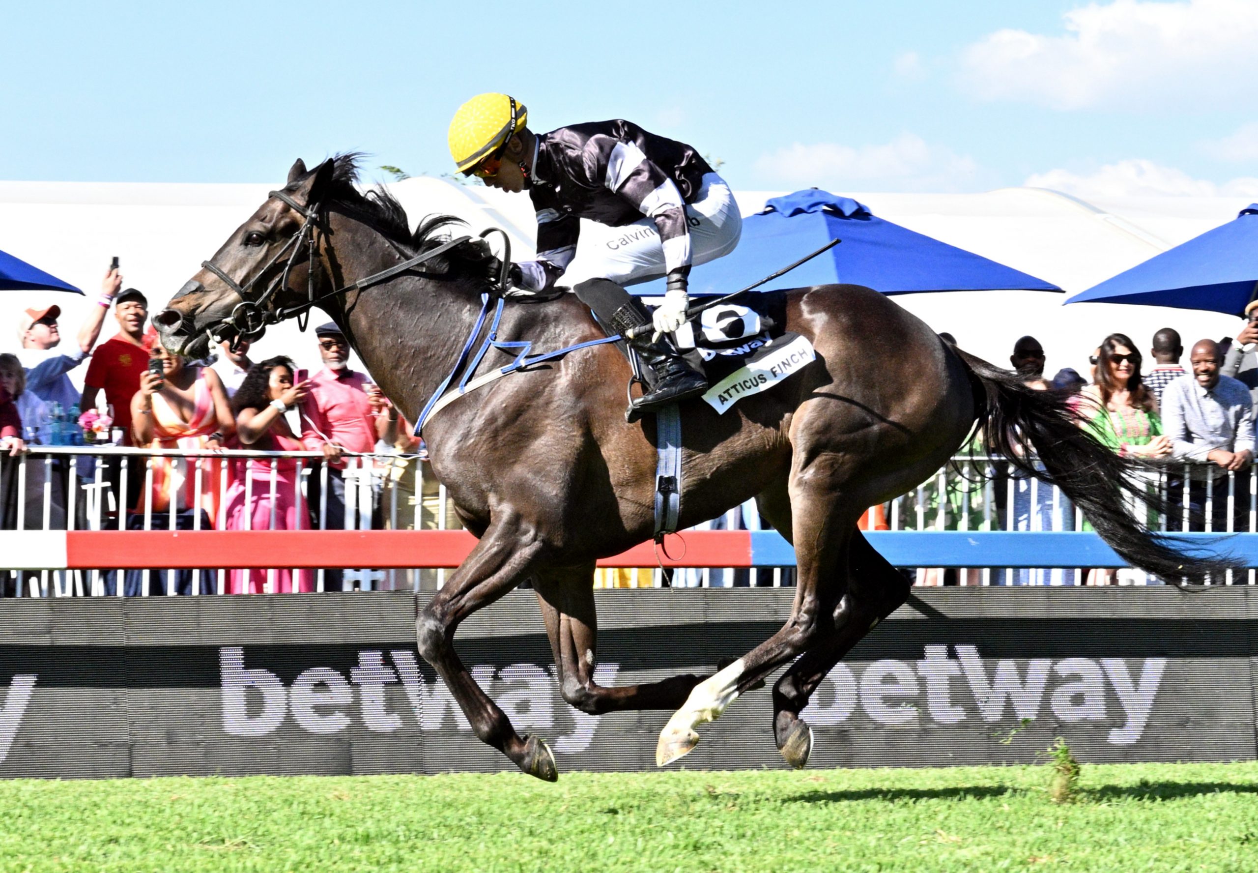 A Summer Cup victory for Atticus Finch and Calvin Habib (Pic - JC Photos)