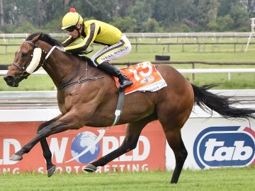 A powerful performance from Craig Zackey and Pomodoro's Jet (Pic - JC Photos)