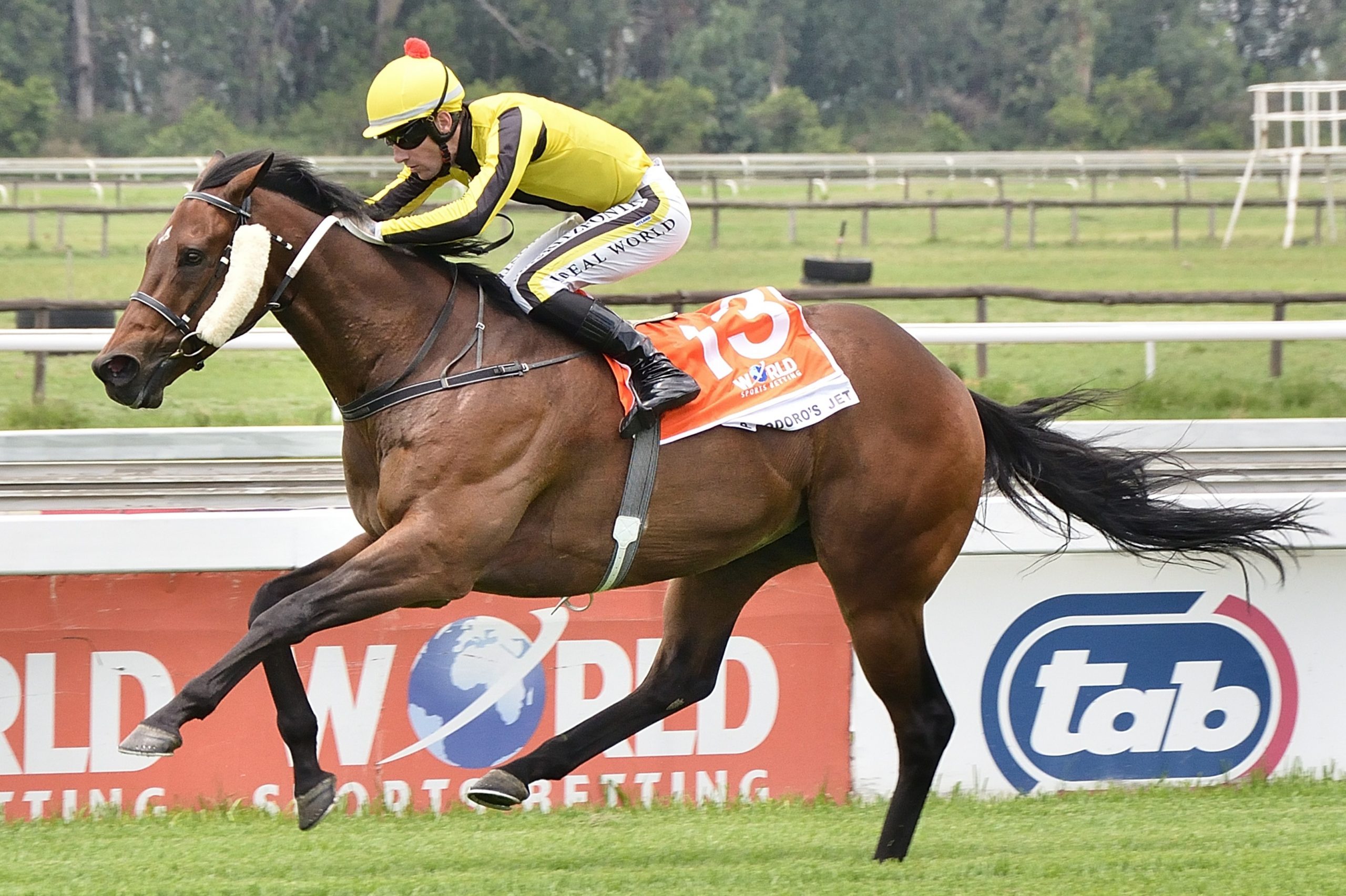 A powerful performance from Craig Zackey and Pomodoro's Jet (Pic - JC Photos)