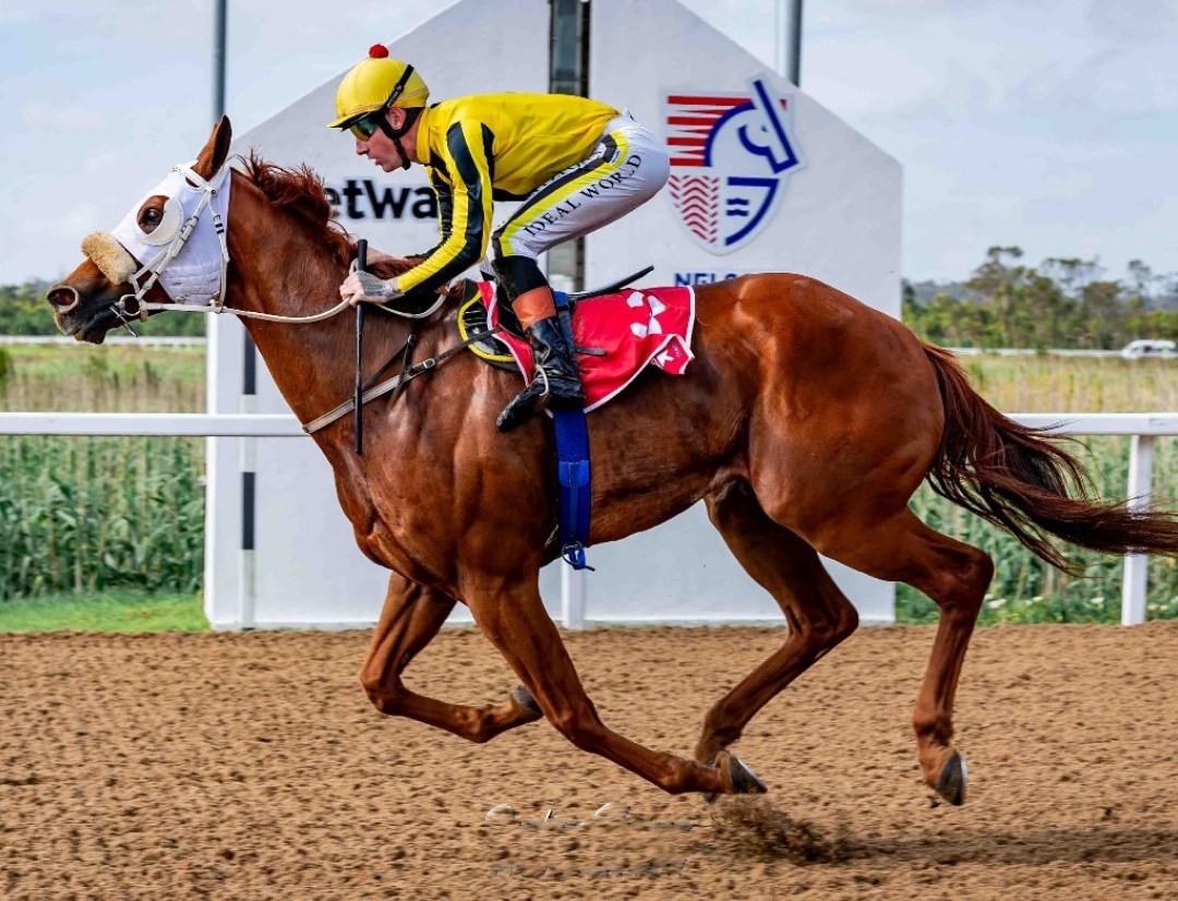 Craig Zackey retains the ride on Gavin Smith's USA'S Hope in Race 6 (Pic - Pauline Herman)