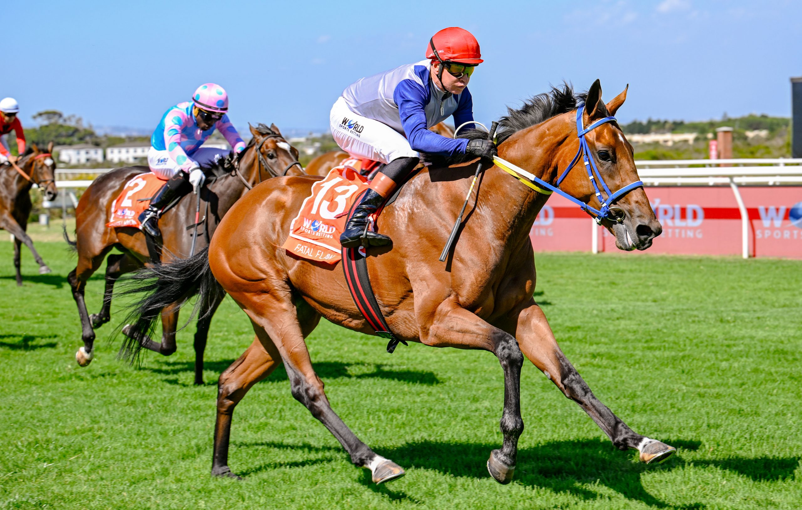 Fatal Flaw (Piere Strydom) has seen her rating adjusted to 115 (Pic - Chase Liebenberg)