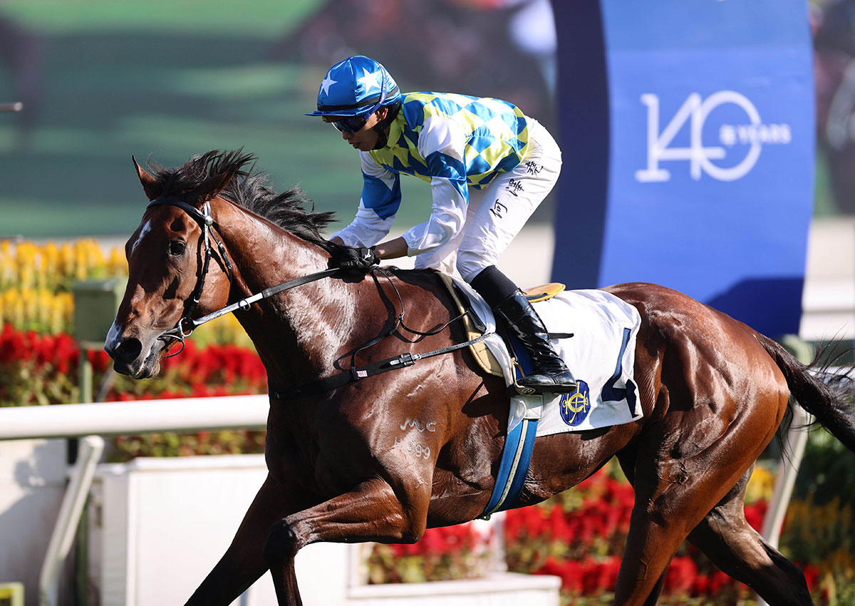 Galaxy Patch will contest the Gr1 LONGINES Hong Kong Mile on 8 December (Pic - HKJC)