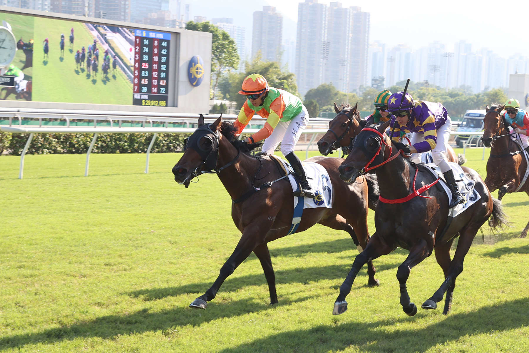 Healthy Healthy (No. 6) is seeking a third straight win (Pic - HKJC)