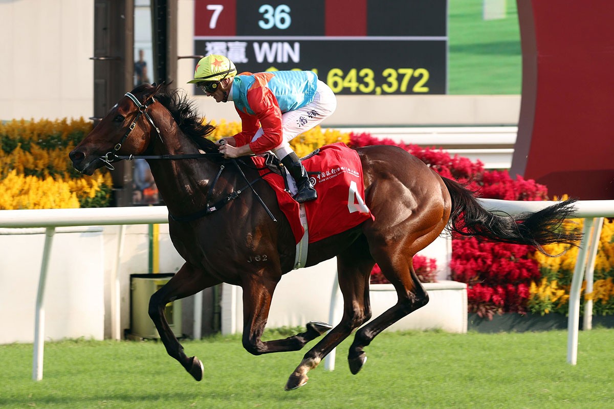 Ka Ying Rising has won 8 of 10 starts (Pic - HKJC)